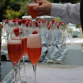Weddings Antropoti - Cocktails